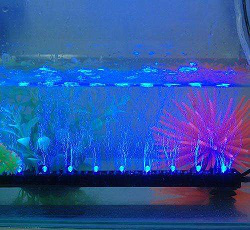 LED水底燈使用時，需要注意哪些事項(圖1)